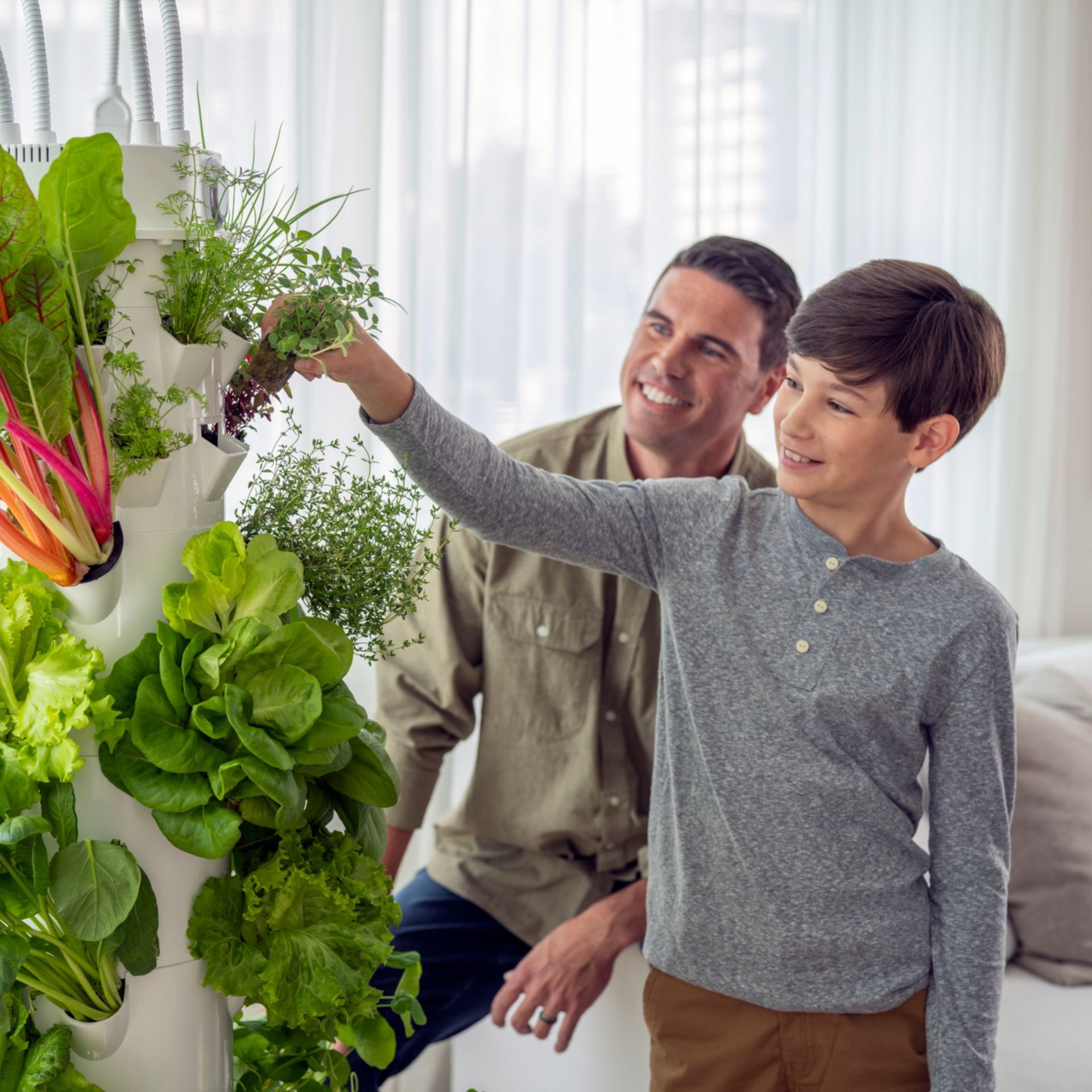 The Basics Of Growing Indoors With Tower Garden Tower Garden